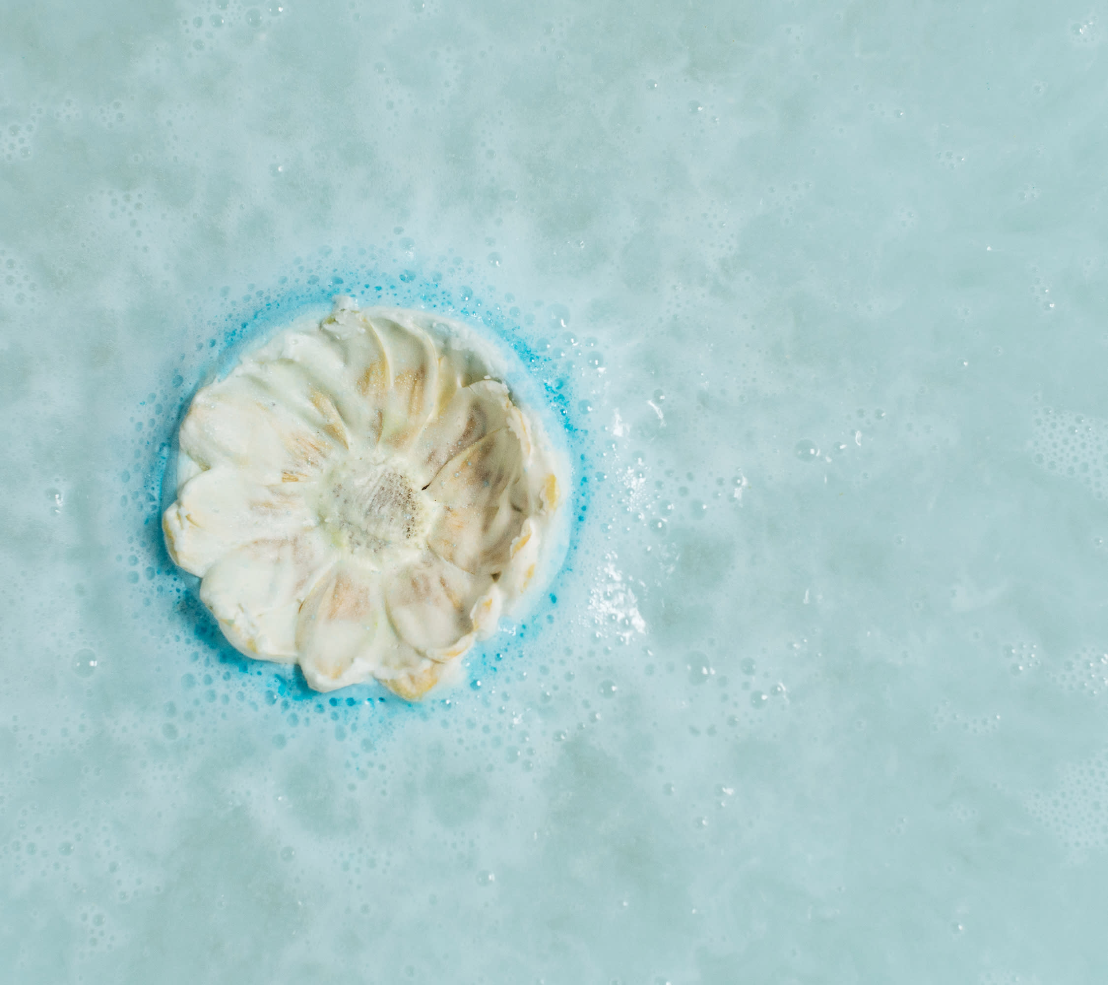 販売終了商品について (2026.1.7更新) - We Are Lush — Japan