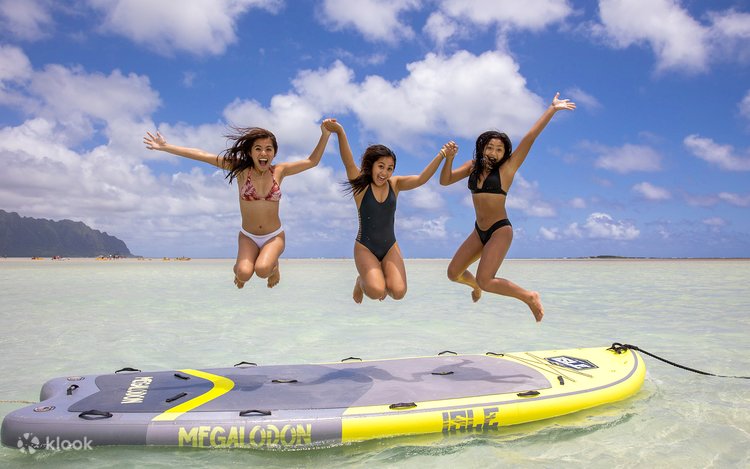 Kane'ohe Bay Sandbar Turtle Watching & Snorkeling Tour - Klook