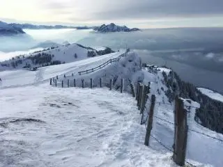 Rigi Kaltbad Tours from Zurich with Discounted Prices and Deals