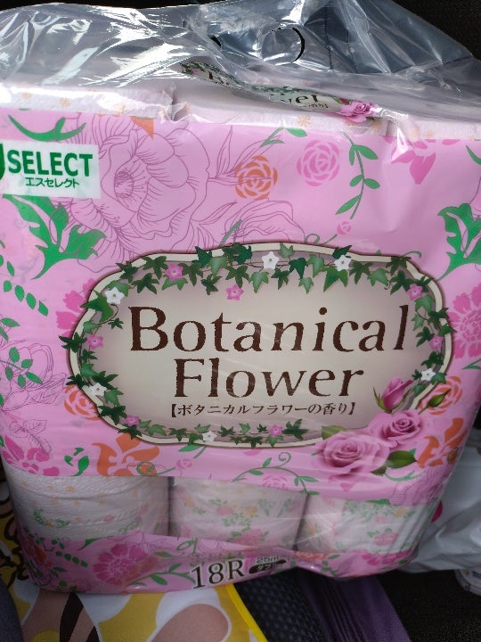 Sセレクト 総入れ歯用洗浄 108P（紀陽除虫菊）の販売価格と購入店舗