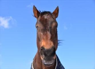 b56b14d19e94715c69ccb319c08eee