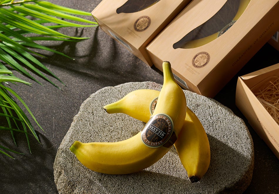 希少！宮崎県産バナナ NEXT716 【レギュラー×6本】｜ネクストファーム