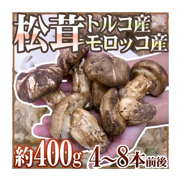松茸 北海道 400g ① 国産 北海道 松茸 400g ④ 【公式通販】