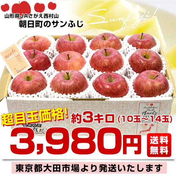 山形県産 JAさがえ西村山 朝日町のサンふじ 約3キロ (10玉から14玉
