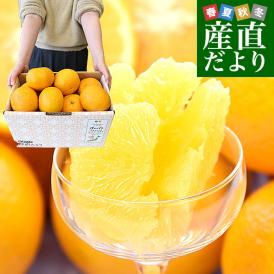 ハウス あすみ 愛知県産 JA蒲郡市 優〜秀 S〜L 約5kg 産地箱 風袋込