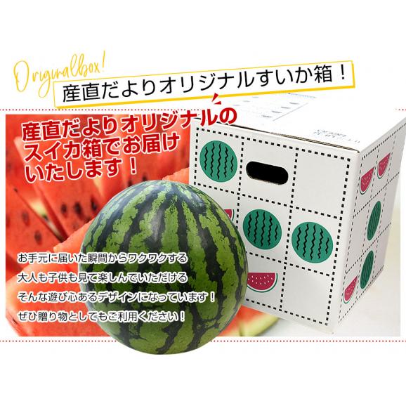 千葉県 JA富里市西瓜部28部会 大玉すいか（紅大）9キロ以上 4Lサイズ 1