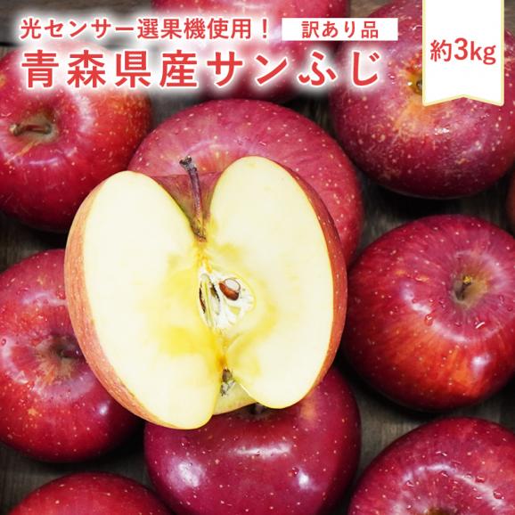 りんご(送料無料)の商品一覧｜通販・お取り寄せ・販売【ぐるすぐり】