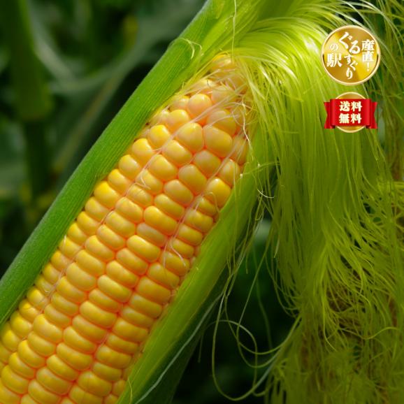 20点限定】“超希少手選別”宮崎県都農町産 たづねファーム_スーパー