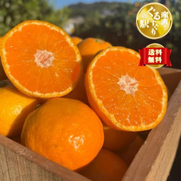 全国送料無料】名門！上友農園 完熟みかん～颯～秀品_3㎏【出荷時完全