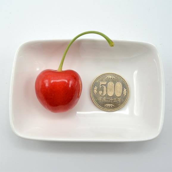 2024年5月頃～予約開始予定|幻の大粒さくらんぼダイアナブライト500g