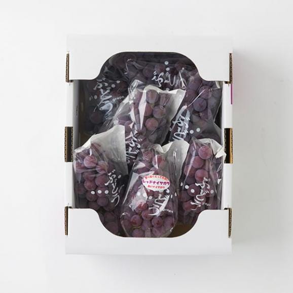 2025年完売】2026年7月頃～予約開始予定|山道農園のぶどう甘美レッド