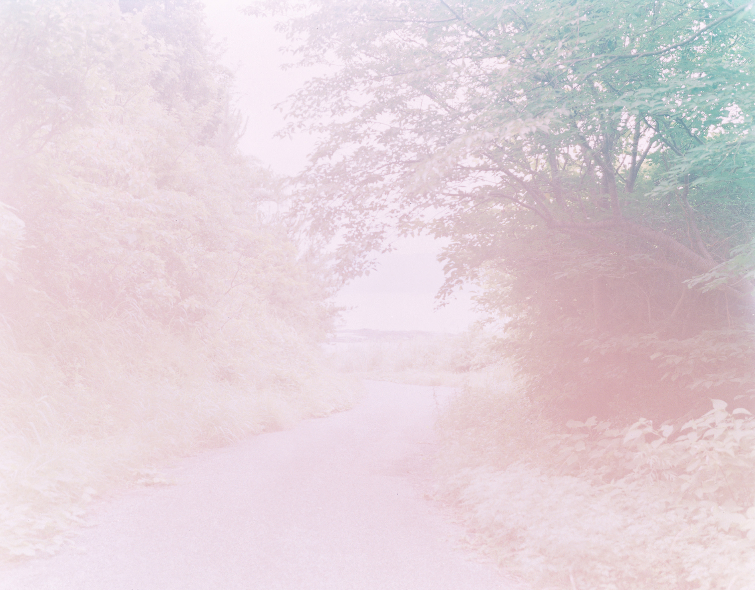 Rinko Kawauchi – 川内倫子 | Halo