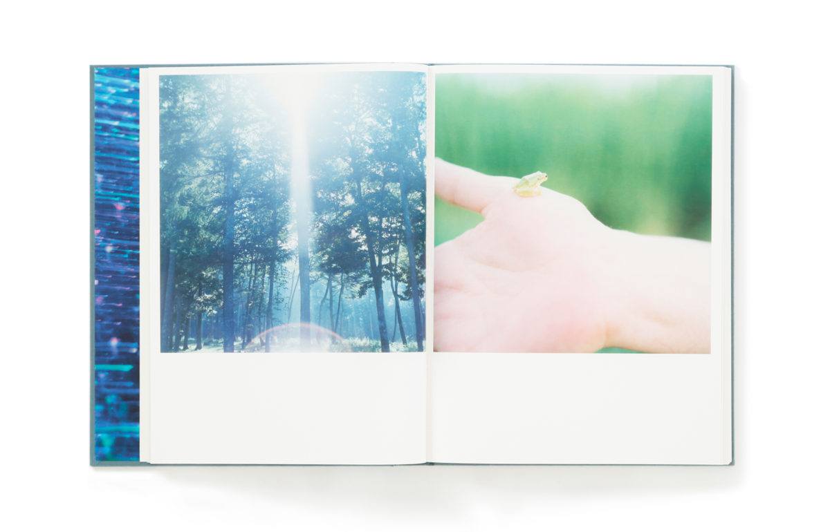 Rinko Kawauchi – 川内倫子 | Illuminance