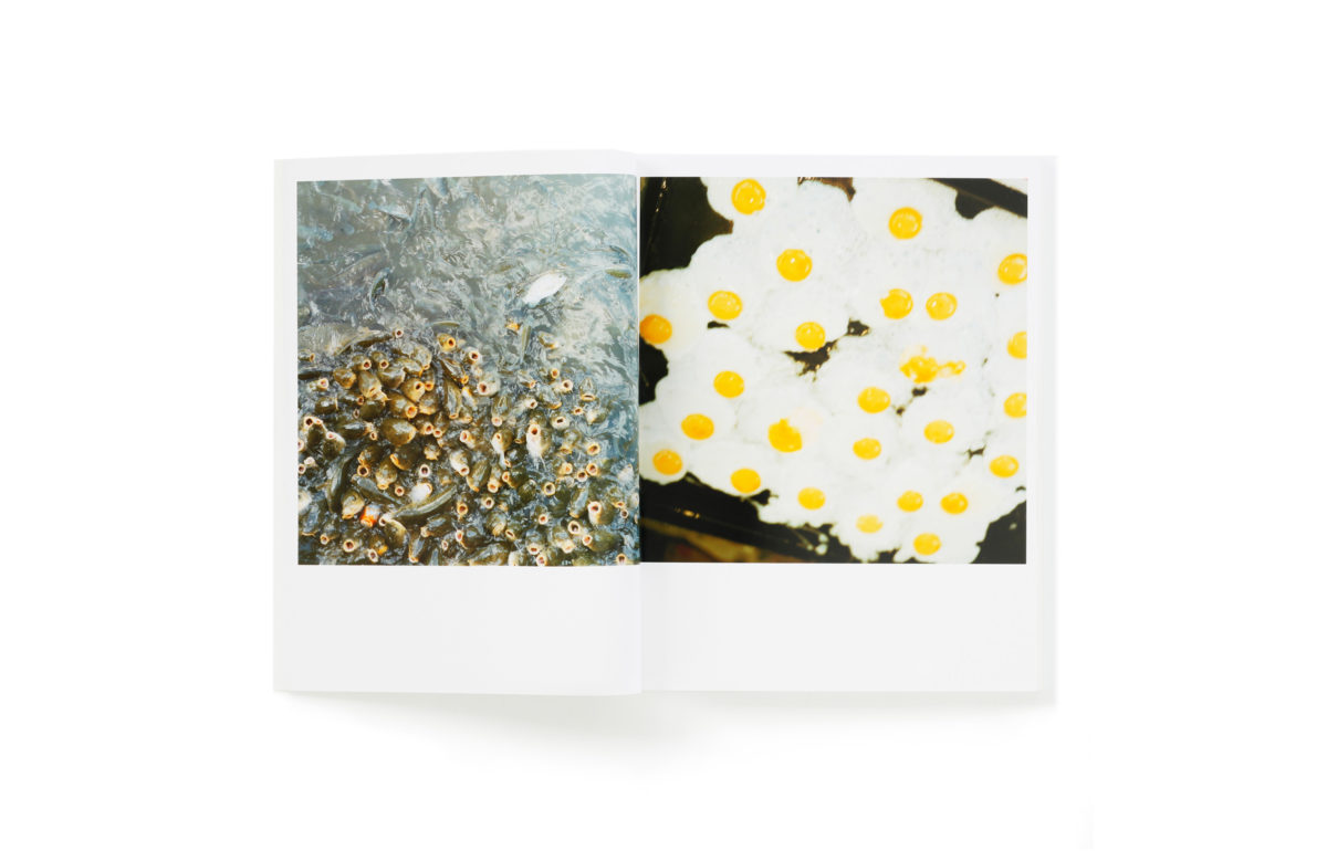 Rinko Kawauchi – 川内倫子 | うたたね