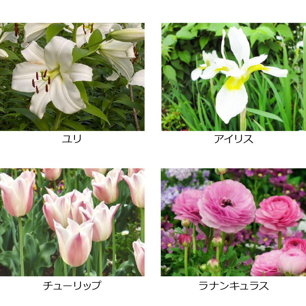 深型プランター 45型 花と野菜の土 10Lセット | リッチェル公式ウェブ