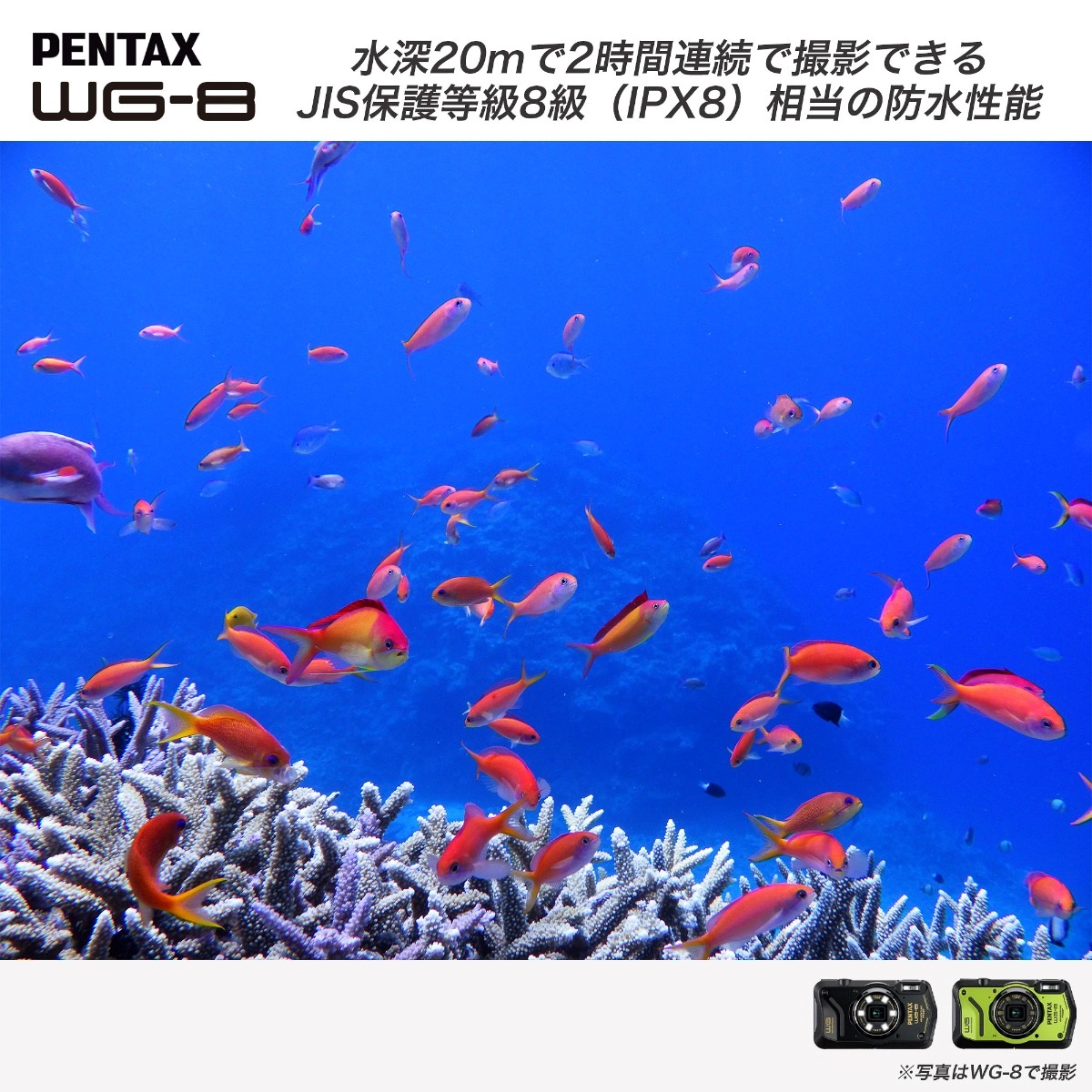 PENTAX WG-8 グリーン[直販限定] | リコーイメージングストア