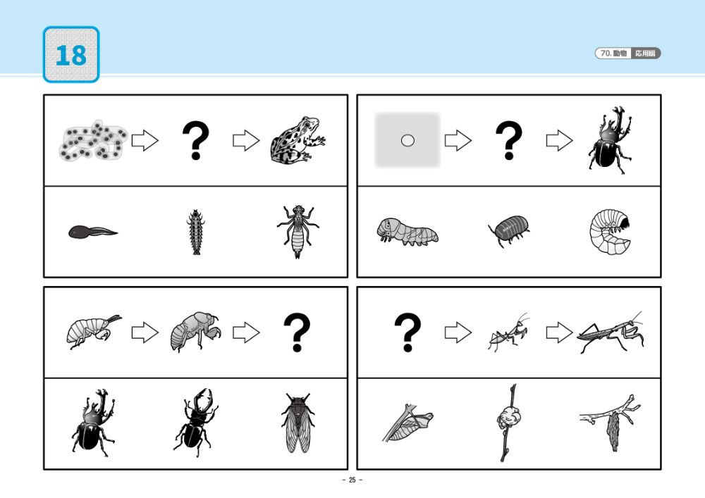 理英会 ばっちりくんドリル基礎編 52冊 CD2 ばっちりくんドリル(基礎編