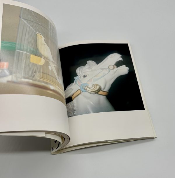 川内倫子いきなり三部作 うたたね 花火 花子 3冊揃 - りーちあーと