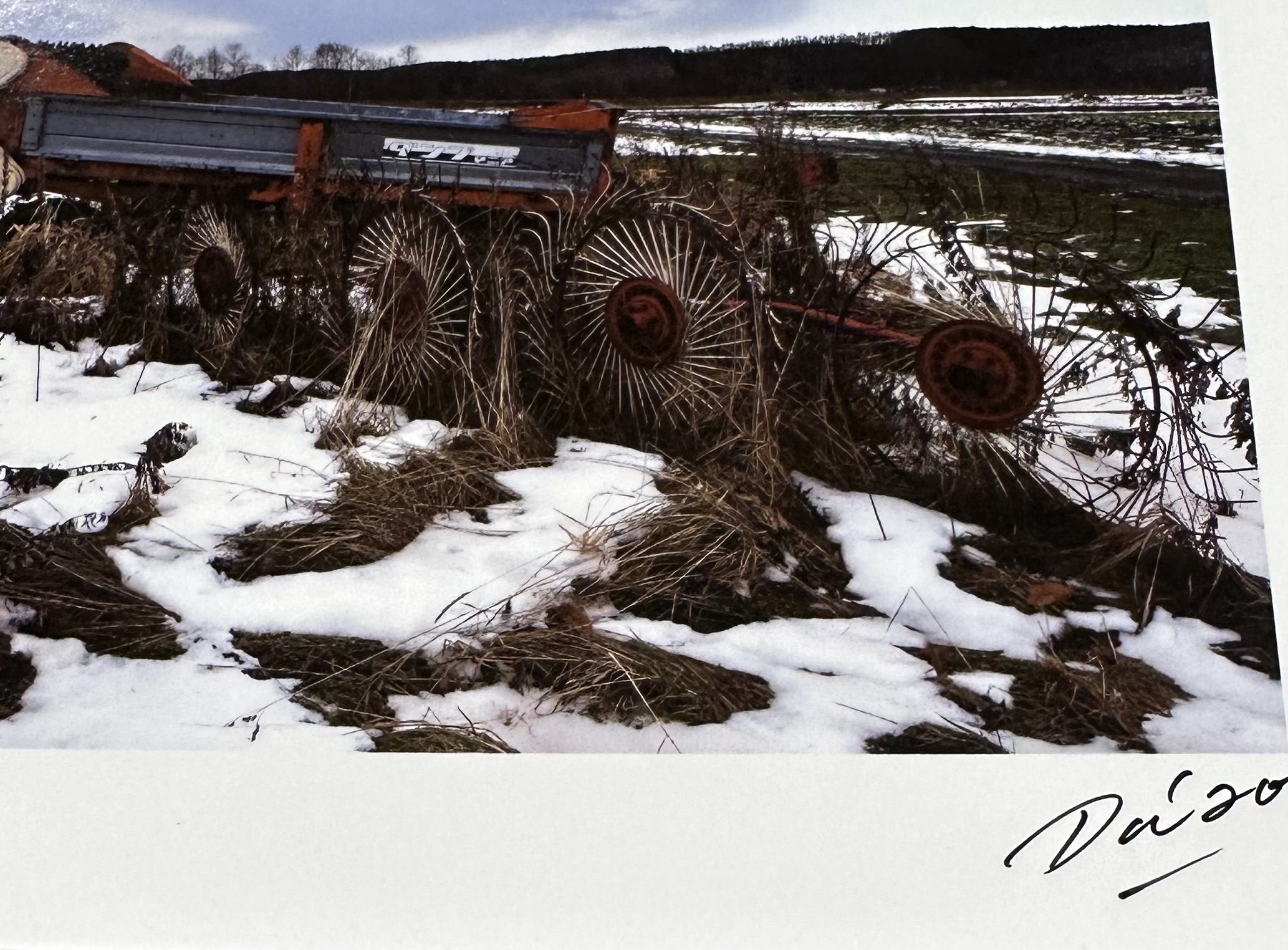 森山大道オリジナルプリント作品 東日本大震災支援プロジェクト - りー