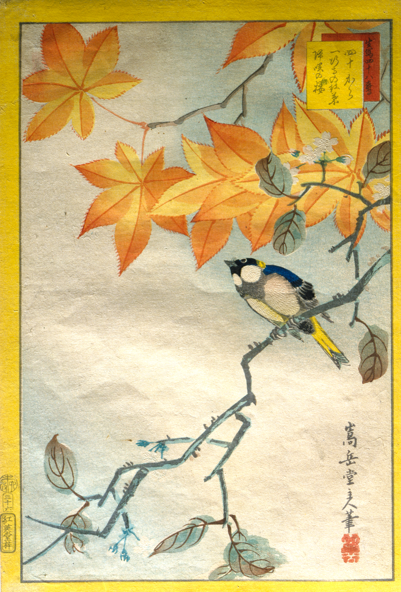 Collection | RISD Museum