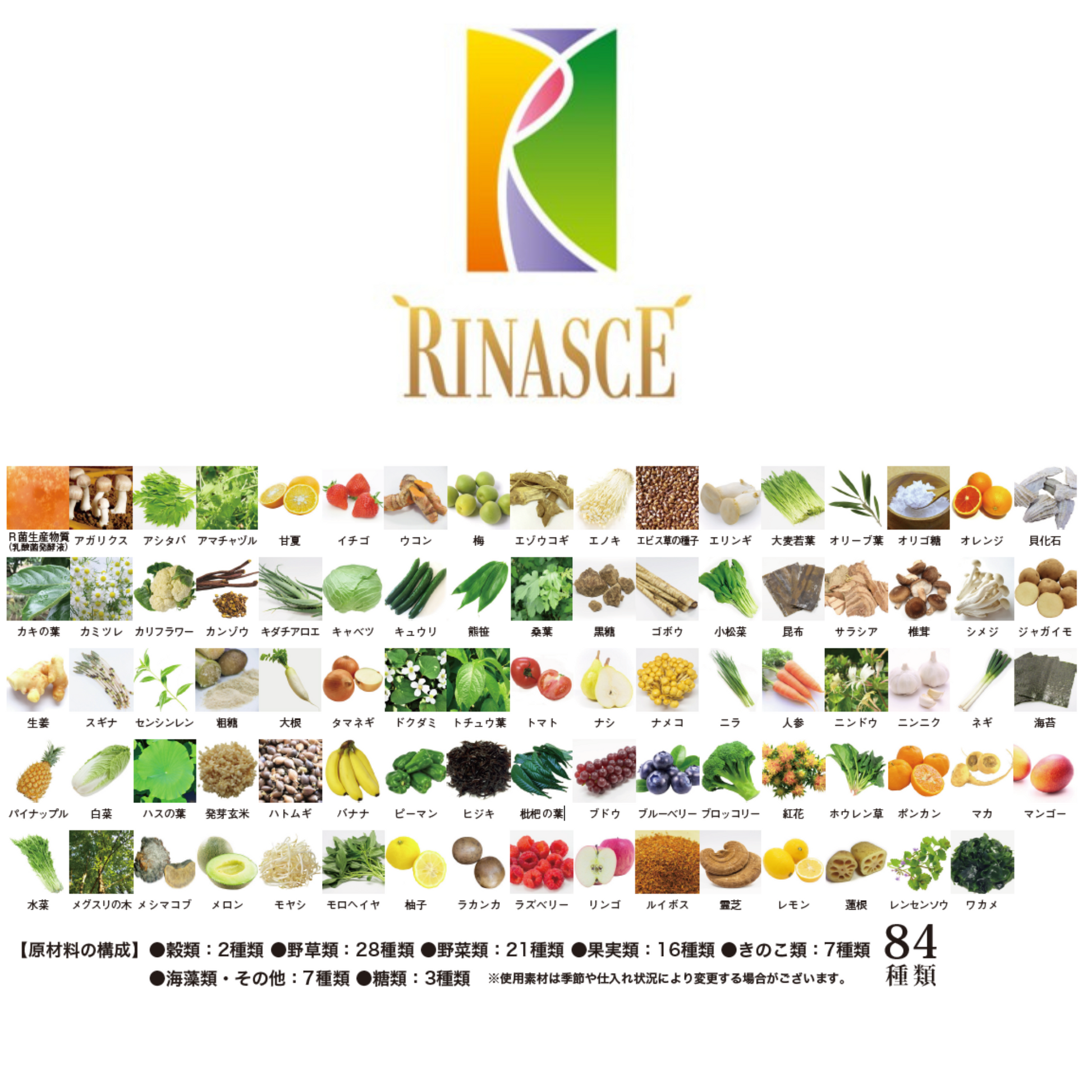 shopfiy2_2.png?v=1676118600&