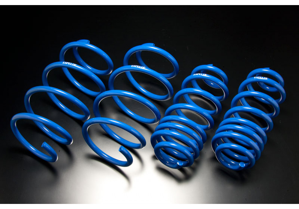 Espelir Super Downsus Springs - Rising Sun Autosports