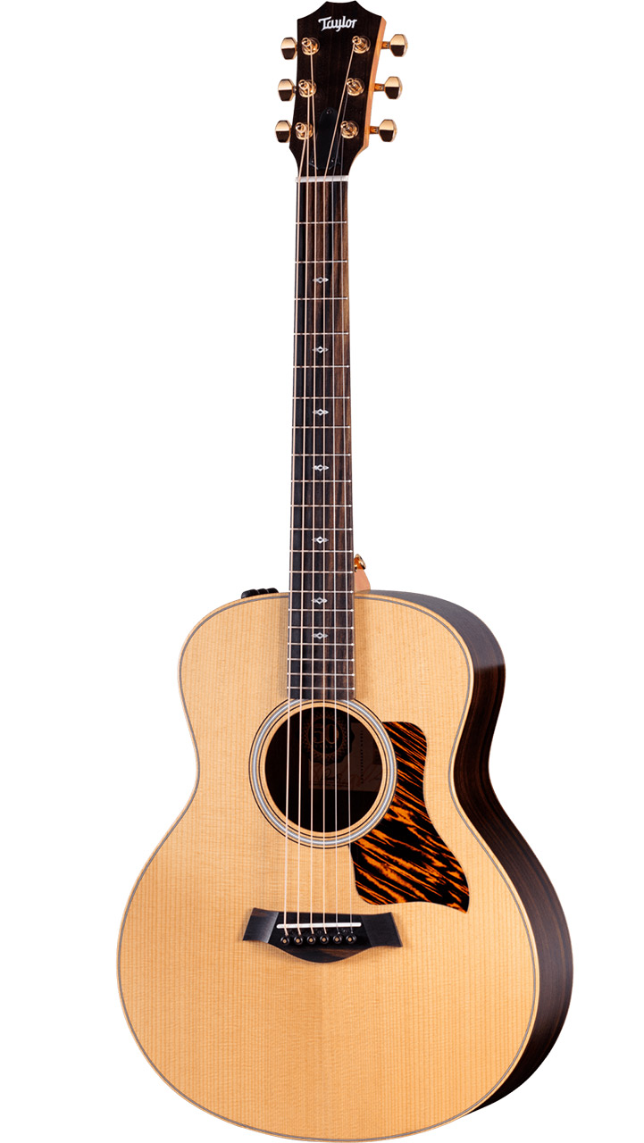 Taylor 50th Anniversary GS Mini-e Rosewood NT LTD - Giocondi