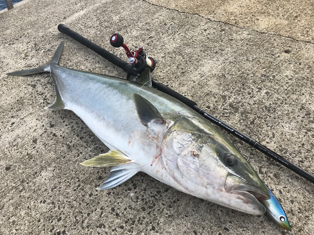 テストレポート】Vol.1 RunnerExceed 107BH Nano ProtoModel