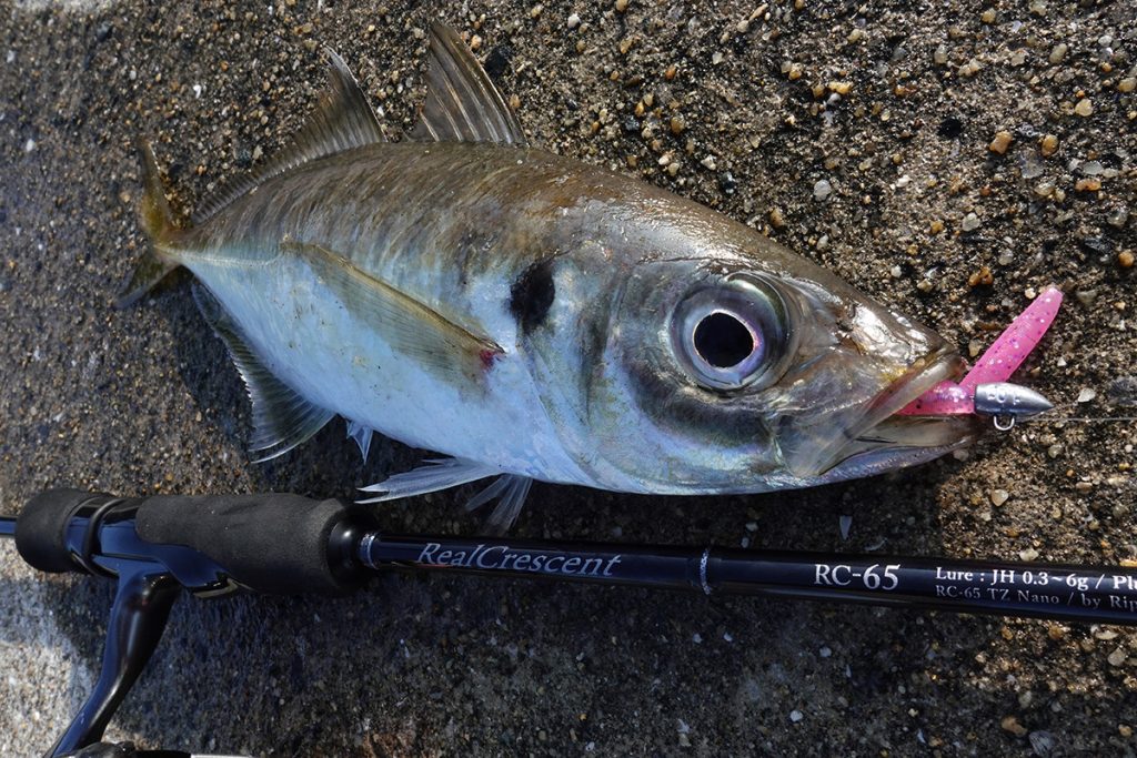 Real Crescent R.67リアルクレセント67 RealCrescent RC-67 Bait