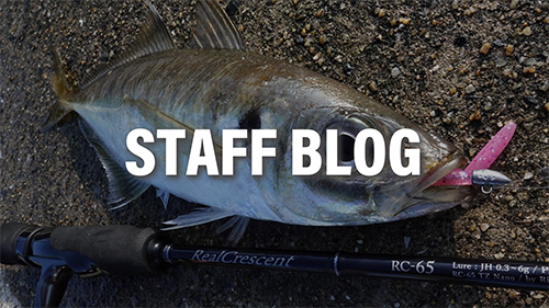 RealCrescent RC-81 | リップルフィッシャーリップルフィッシャー