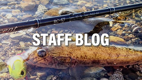 RealCrescent RC-57 (Bait-Model) | リップルフィッシャーリップル