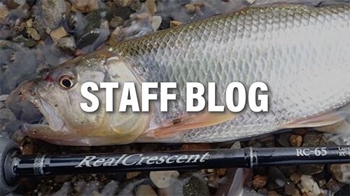 RealCrescent RC-67 (Bait-Model) | リップルフィッシャーリップル