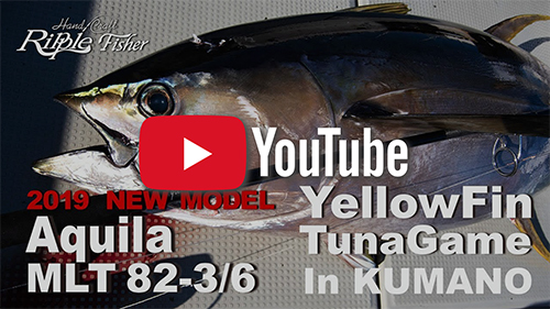 Aquila MLT 82-3/6 | リップルフィッシャーリップルフィッシャー