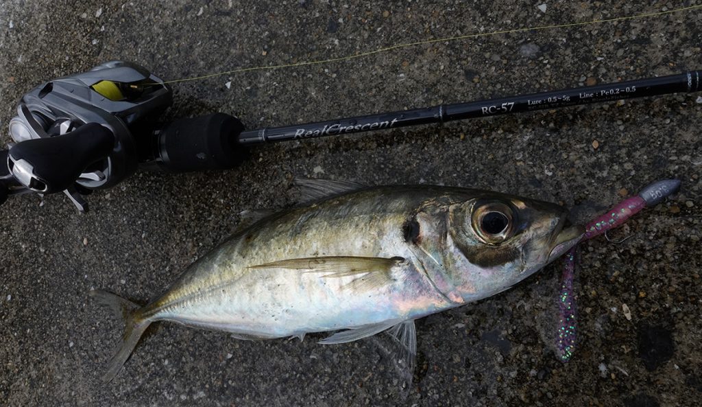 シーズン特集】vol.8 「リアルクレセント・シリーズコンセプト解説