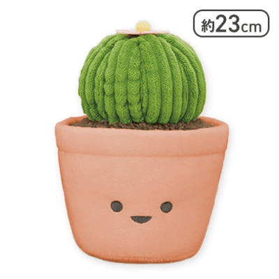 玉サボテン】FANS 観葉植物ぬいぐるみBIG | オンラインクレーンゲーム