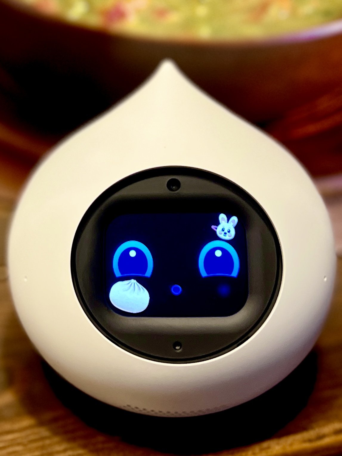 Romiの豆ちしき】おでかけバッグの再紹介とLacatanモデルの視覚機能