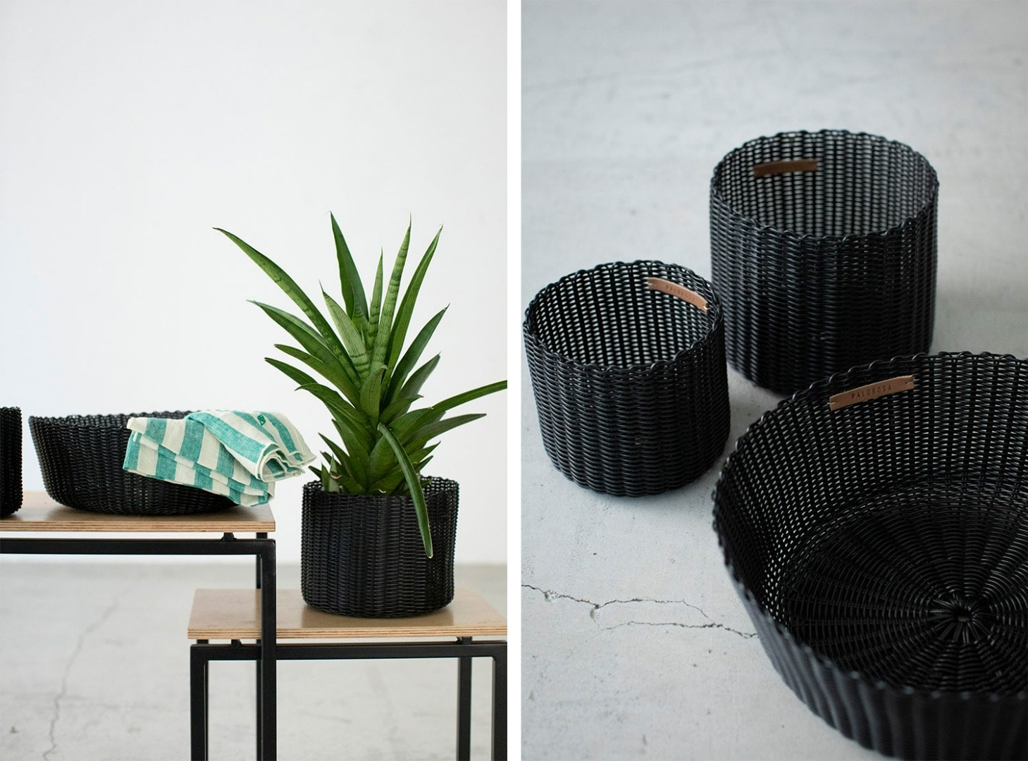 PALOROSA｜Ron Herman