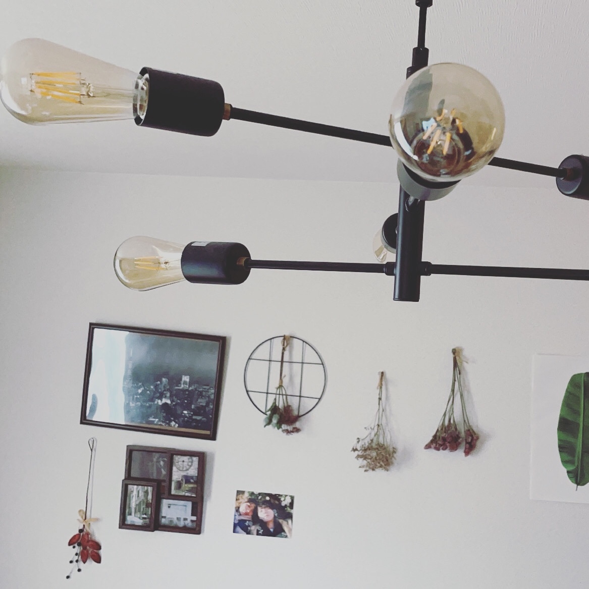 ペンダントライト セイス BK (274P-6) ニトリ 【玄関先迄納品】