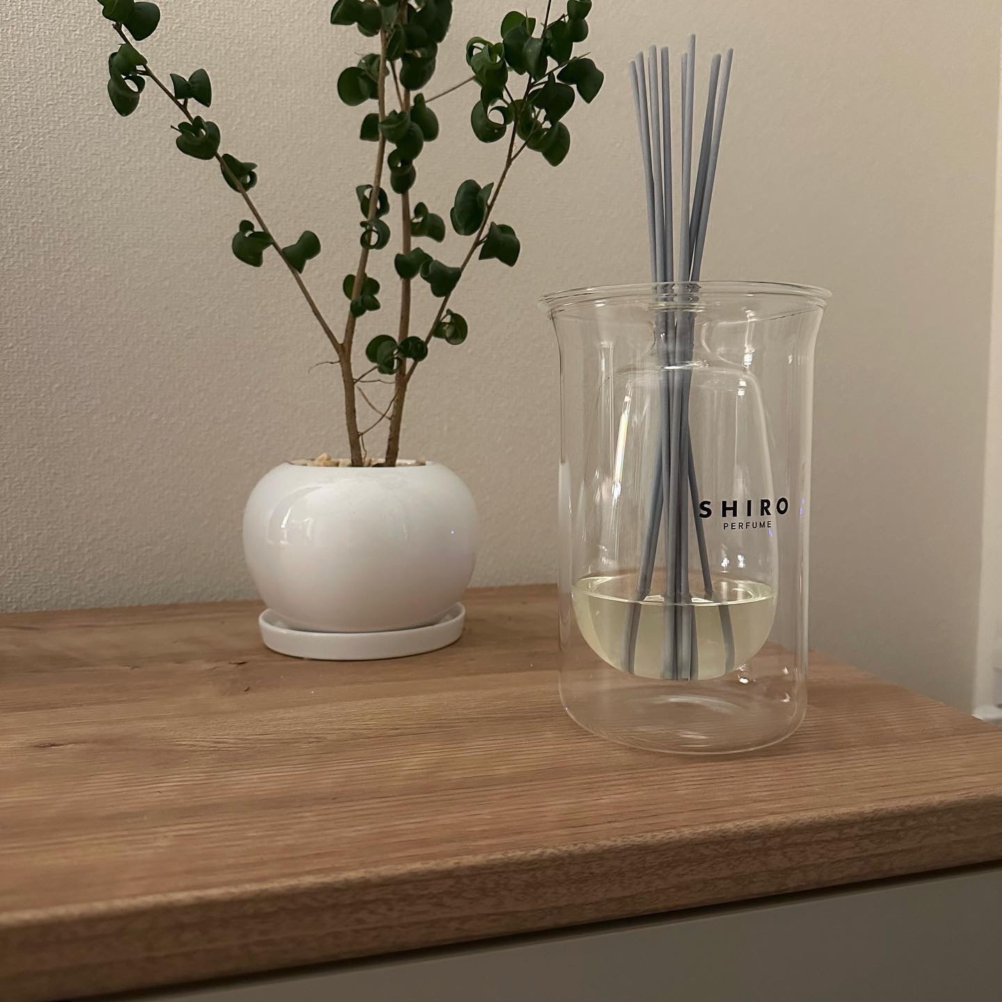 10時までのご注文当日発送）（休業日除く）国内正規品 シロ SHIRO