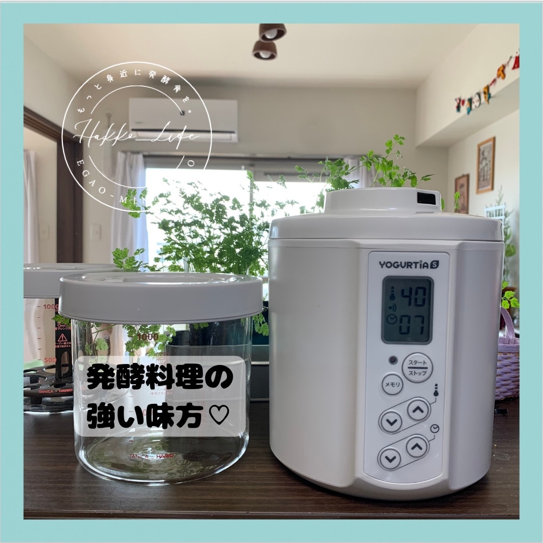 公式最新モデル・国産・ガラス容器】TANICAヨーグルトメーカー