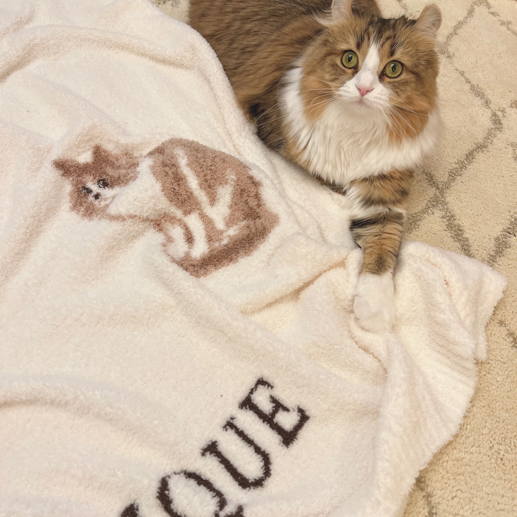 SALE／30%OFF】【Sleep】CAT&DOGジャガードマルチカバー gelato pique