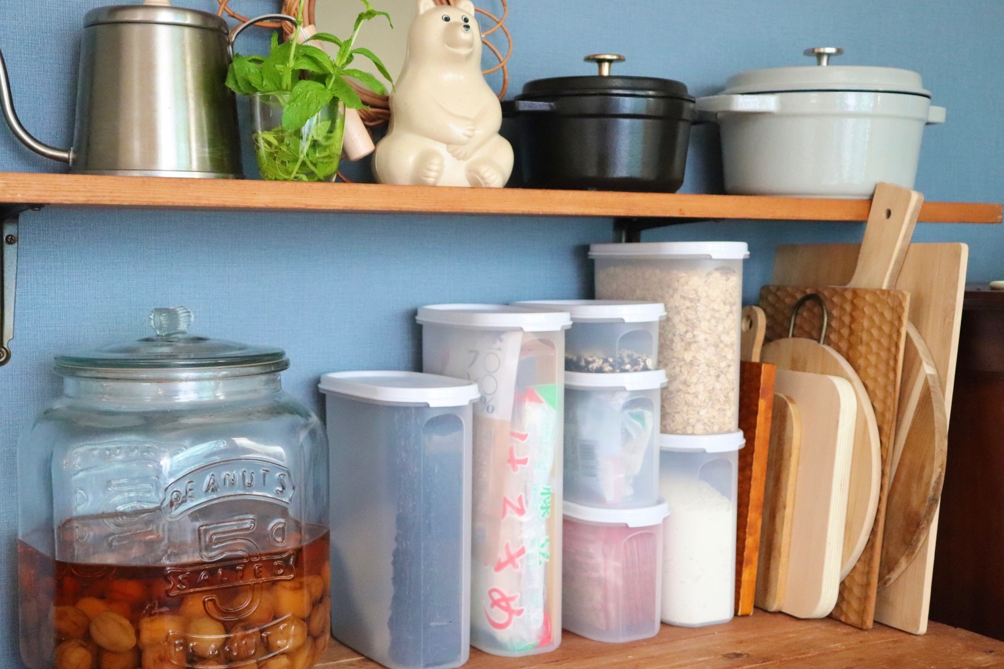 公式】タッパーウェア MMだ円 ベーシックスギフト タッパーウエア