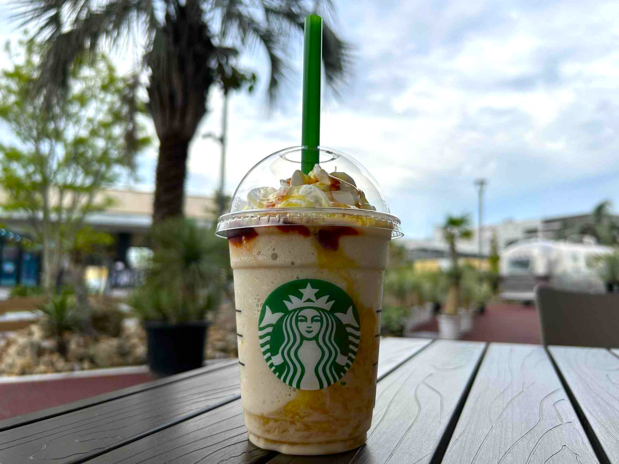 ご乱心】スタバの『ホットハニー オリエンタル マンゴー & ティー