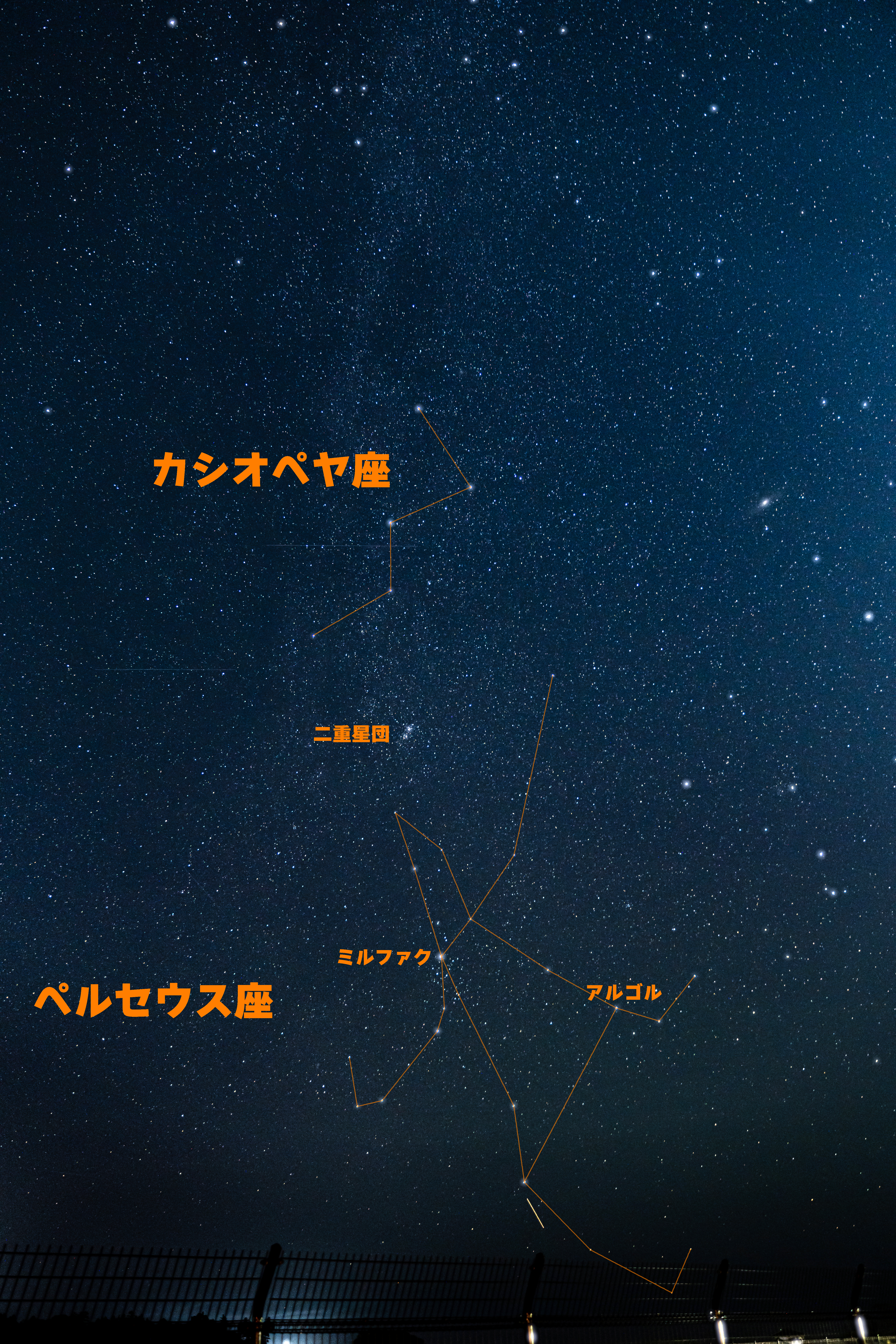 夏休み恒例「ペルセウス座流星群」がピーク！ 年間最強クラスの流星