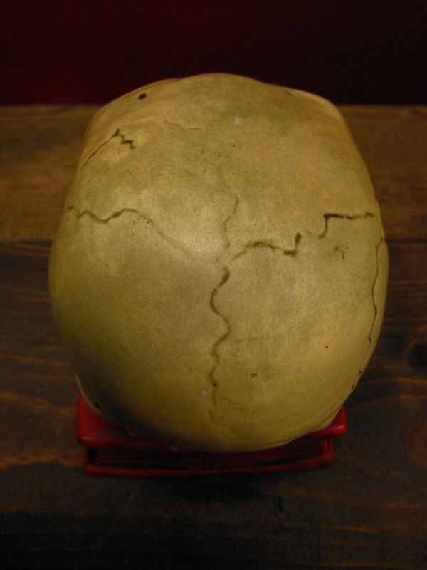 1950'S〜 SKULL ON BOOK BANK ヴィンテージ陶器製スカル骸骨貯金箱1