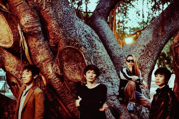 スピッツ、結成30周年記念ツアー横アリ公演を映像化&シングル