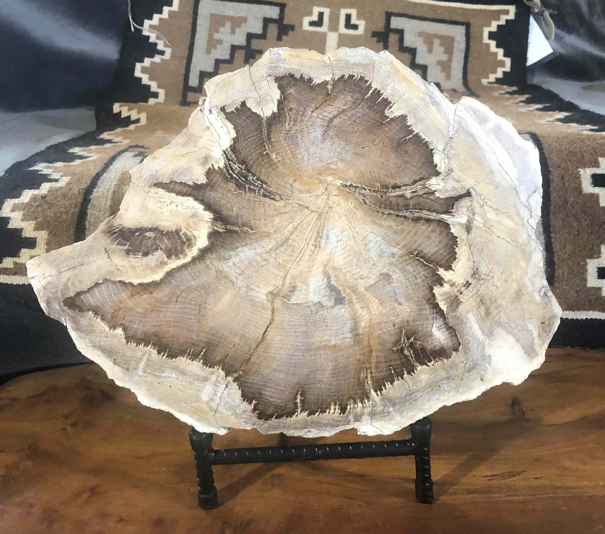 PW1204.13.1 Saddle Mountain Petrified Wood Slab- $280 – Rockswest
