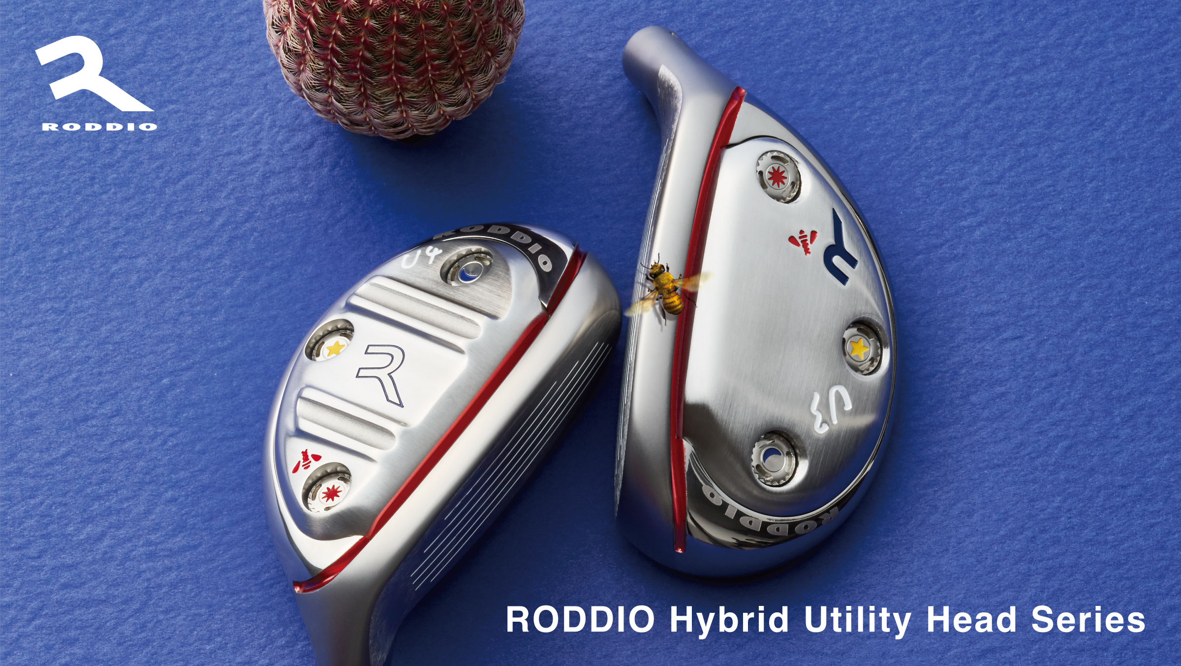 Roddio,ロッディオ | RODDIO