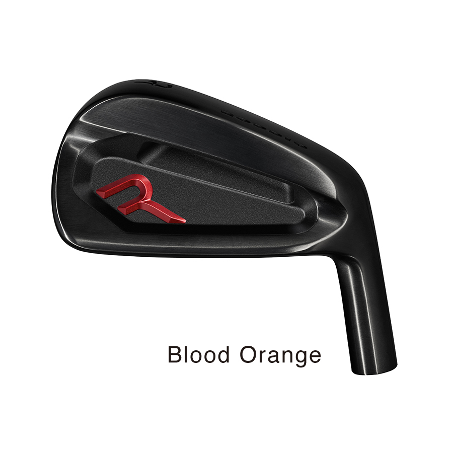 Roddio,ロッディオ | RODDIO