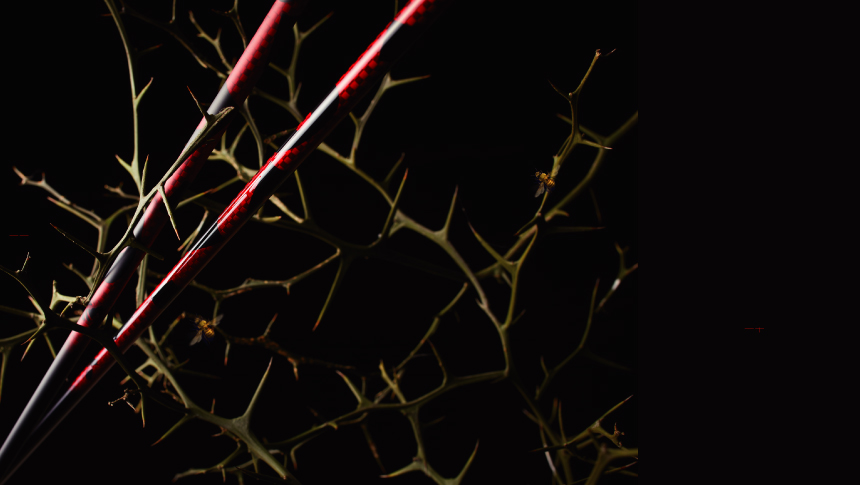 Roddio,ロッディオ | RODDIO